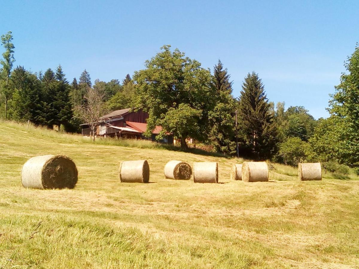 Appartamento Escale Bussenette Bussang Esterno foto